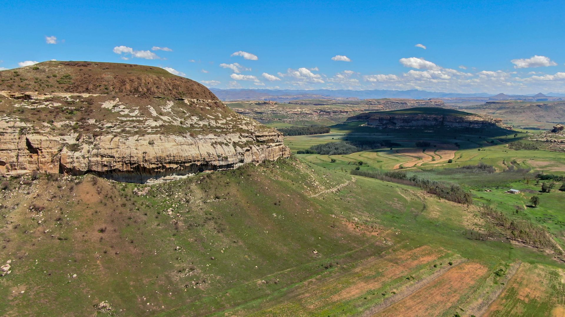 DJI_0163-min.jpg
